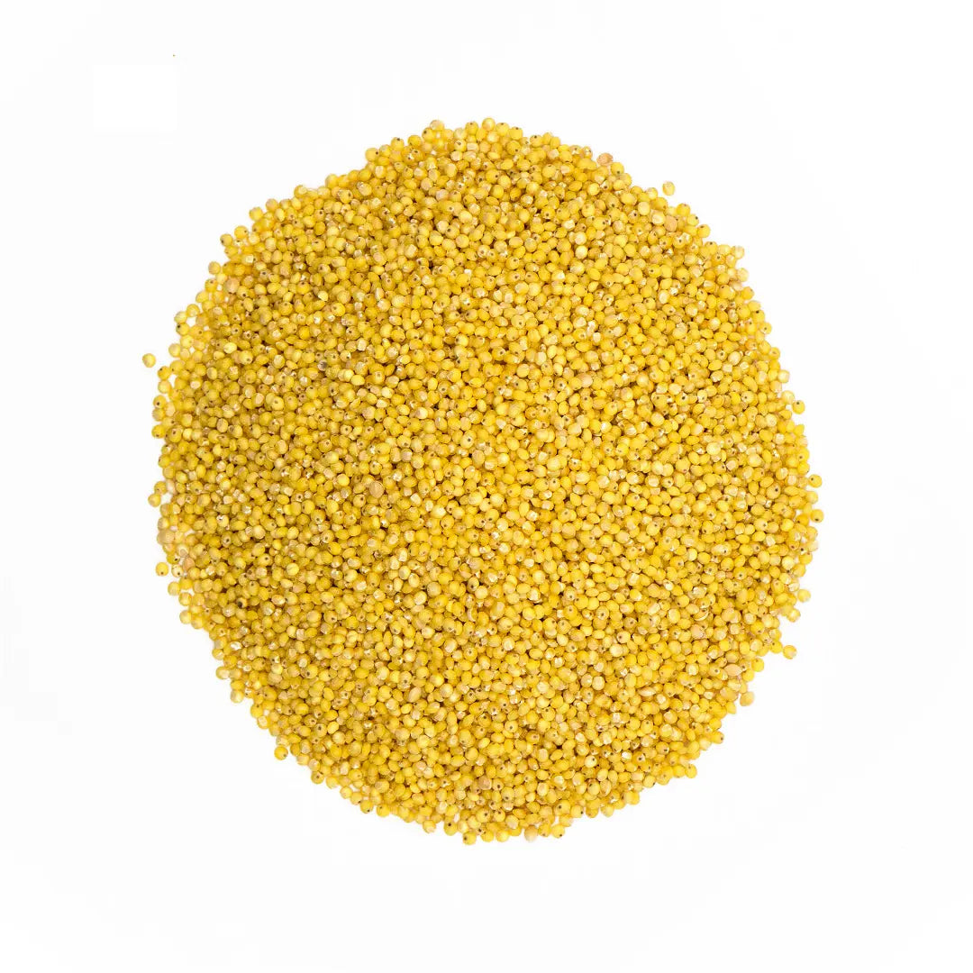 Graines de millet décortiquée bio - Vrac
