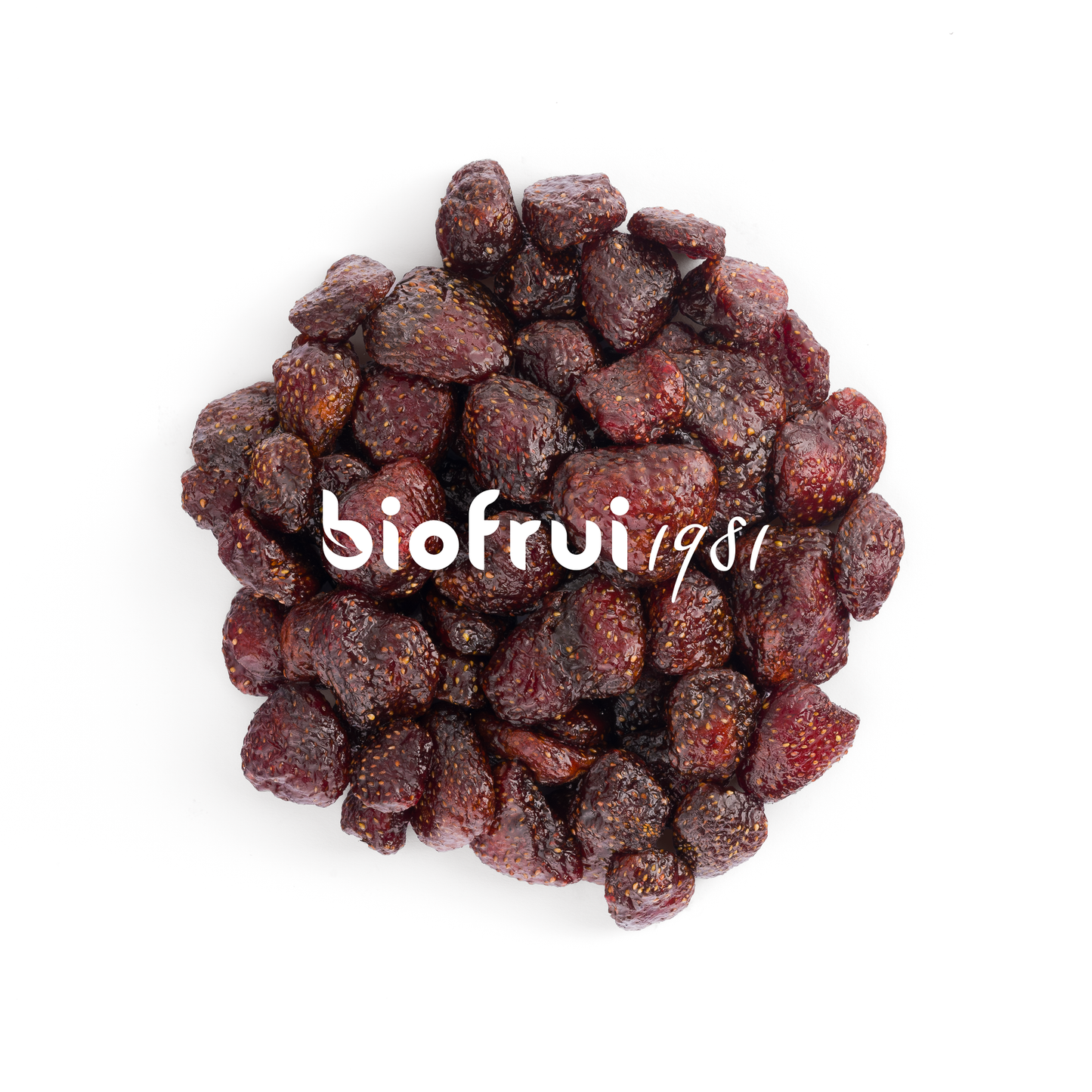 Fraise Senga Bio séchée entière des Alpes Dinariques - Vrac