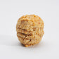 Macaron Artisanal bio à la Noisette - Sachet de 150 g - Pack Éco