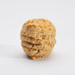 Macaron Artisanal bio à la Noisette - Sachet de 150 g - Pack Éco