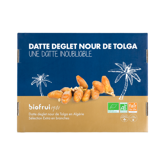Datte Deglet Nour Sélection Extra en branches bio de Tolga (Algérie) - Vrac - Nouvelle Récolte 2025